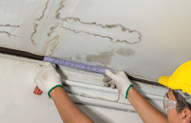 Reliable Water Damage contractor in Cresskill, NJ by Water Damage Irwin